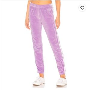 Revolve (Indah) Velour Joggers